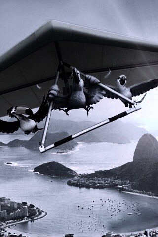 Герои мультфильма Рио обои