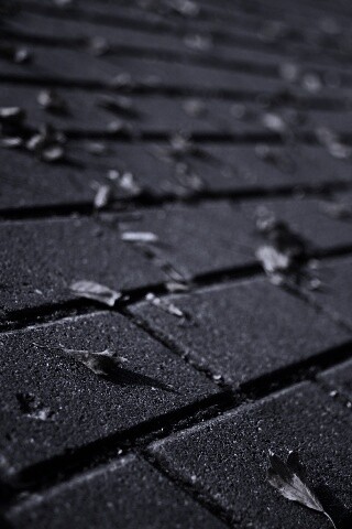 Тротуар обои