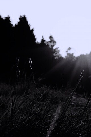 Красота природы обои