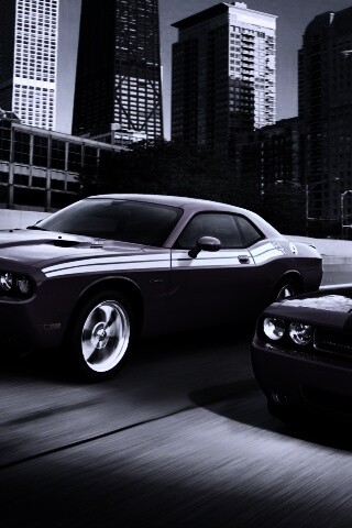 Два розовых мускулкара обои