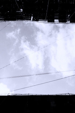 Человеческий муравейник обои