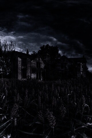 Заброшенный дом  обои