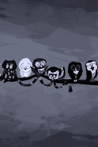 Совы на ветке обои