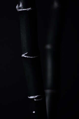 Макро фото стебля бамбука обои