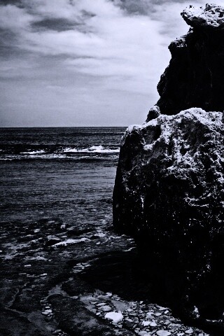 Коралловый риф обои