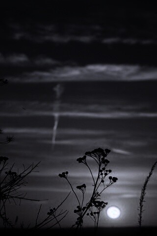 Степной закат обои