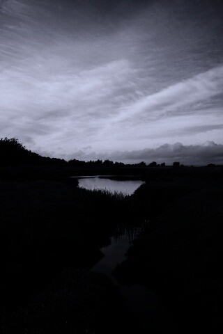 Канава и пруд обои