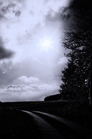 Солнечные холмы обои