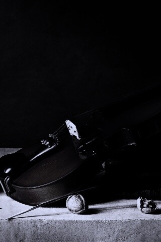 Композиция со скрипкой обои