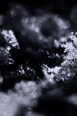 Макро фото снега обои
