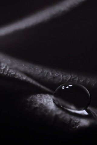 Капелька обои