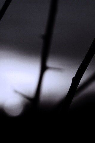 Закат солнца в поле обои