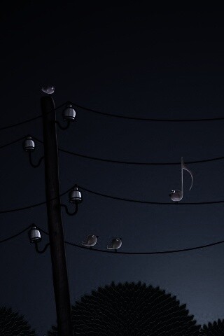 Нотка и птички на проводах обои