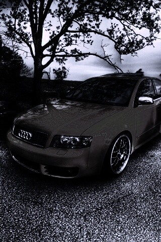 Желтый Ауди на дороге обои