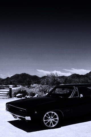 Мускулкар под палящим солнцем обои