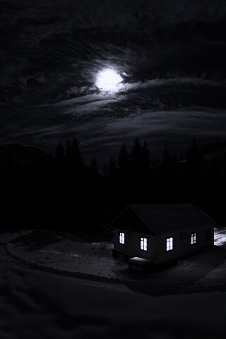 Один в зимнем лесу обои