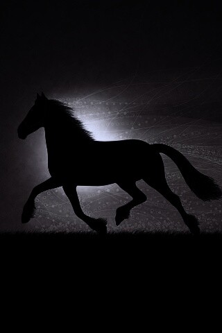 Силует коня на закате обои