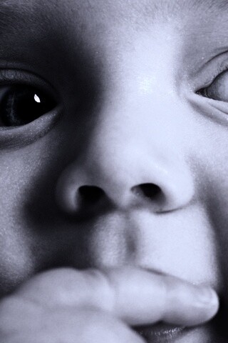 Что-то замышляет... обои