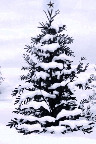 Украшенная ёлочка в лесу обои