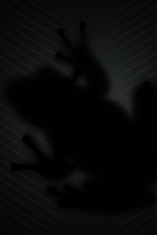 Силуэт лягушки просвечивает сквозь зеленый лист обои