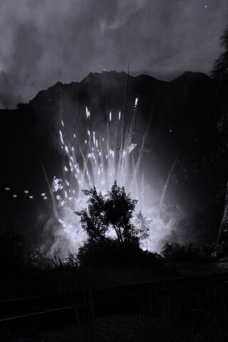 Взрыв в кустах обои