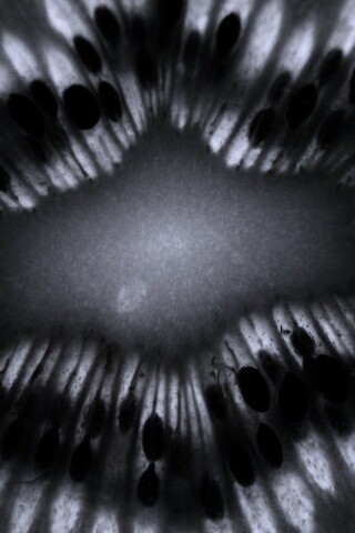 Макро фото киви в разрезе обои