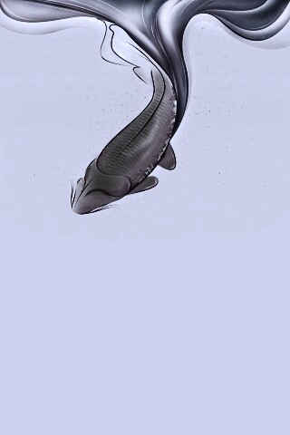 Золоая рыбка  обои