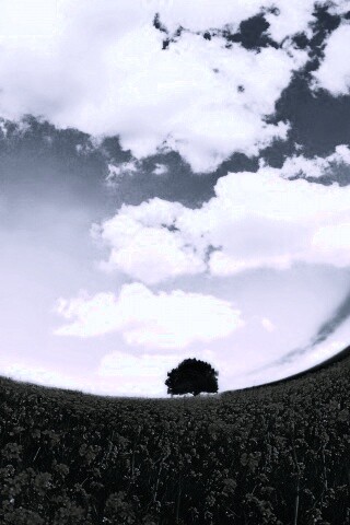 Искаженный мир обои