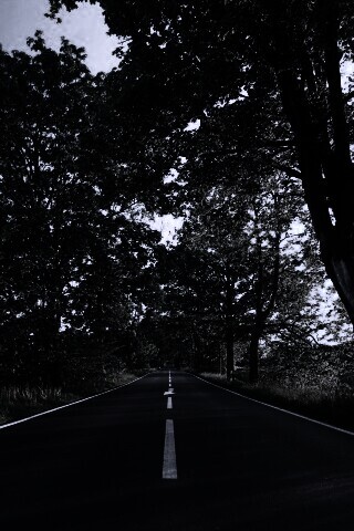 Прямая дорога обои