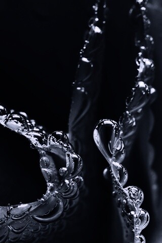 Капельки росы на синих лепестках обои