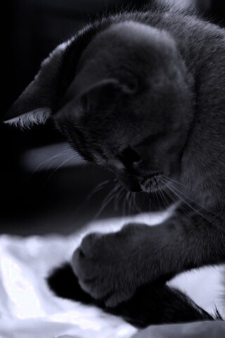 Маленький игруля обои