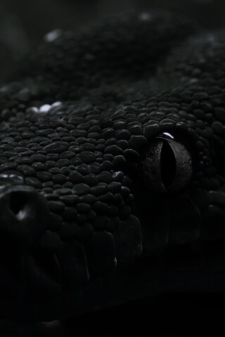 Страшно красивая обои