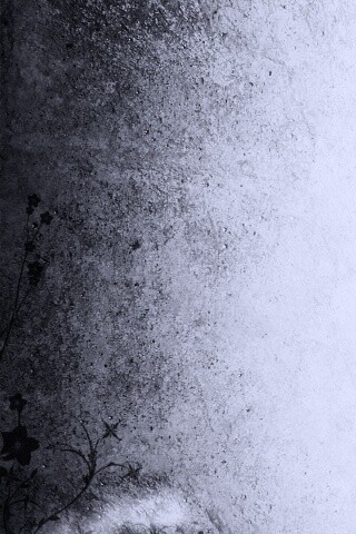 Фон с красивым черным узором обои