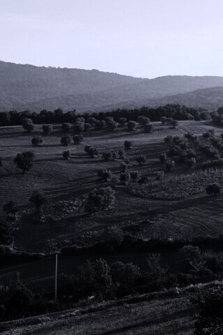 Ферма в долине обои