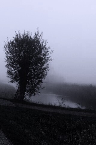 Дорога растворяется в тумане обои