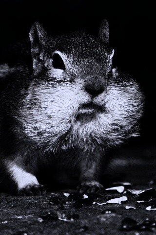 Не жадный, а бережливый обои