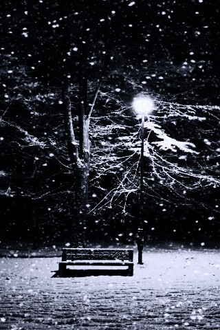 Ночь..улица..фонарь..скамейка.. обои