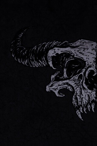 Череп дьявола обои