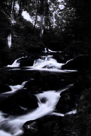Живописный лесной водопад обои
