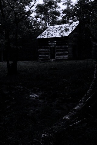 Домик в лесу обои