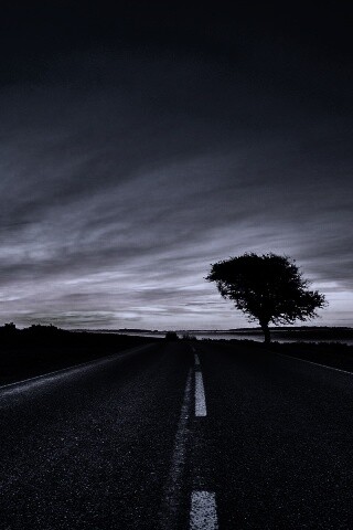 Дорога обои