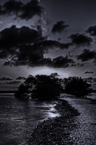 Побережье на закате обои