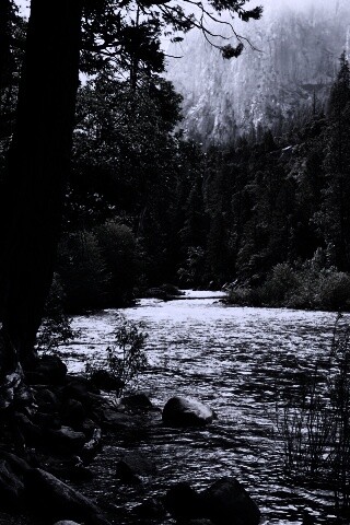 Национальный заповедник обои
