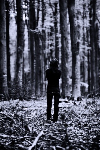 Одна в лесу обои