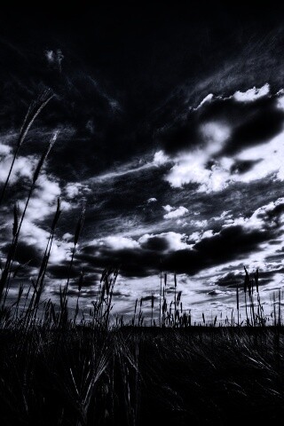 HDR Поле обои