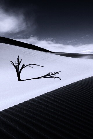 Дюны белого песка обои