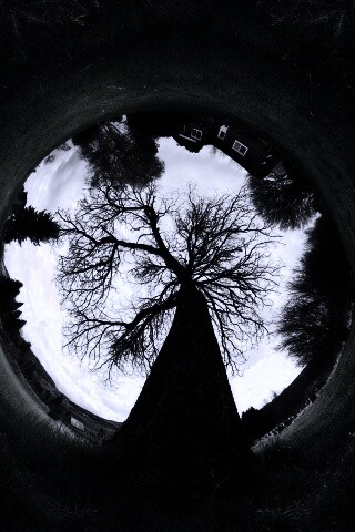 Другой взгляд на мир обои