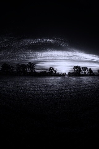 Поле широкоугольным объективом обои