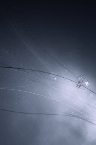 Оригинальные обои Windows 7 обои