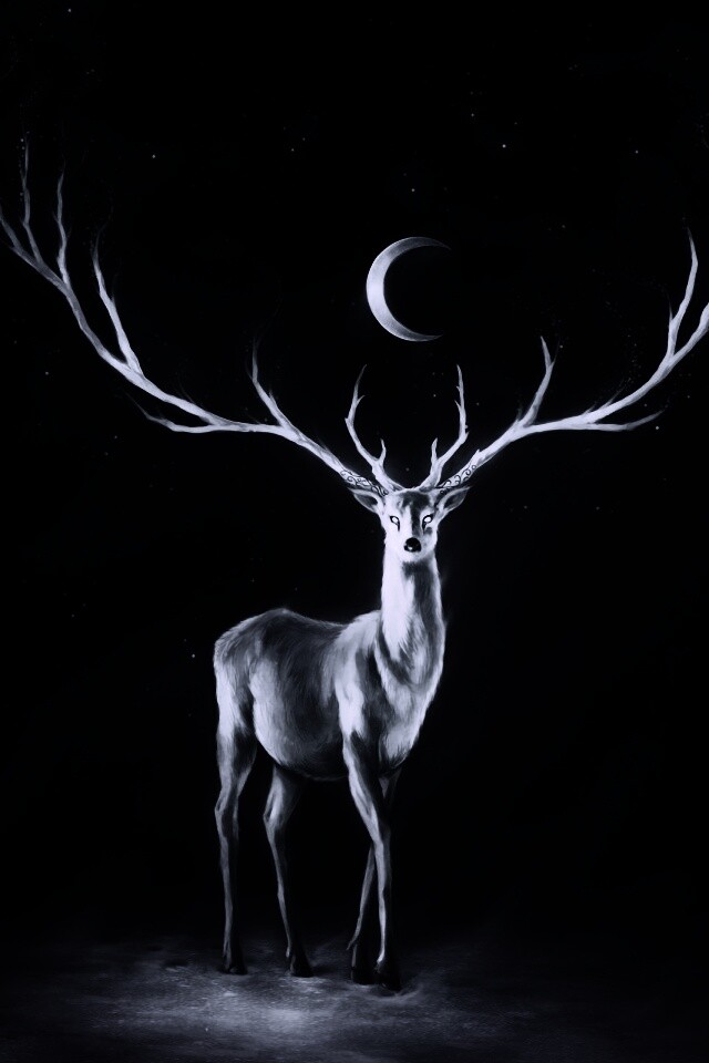 Олень в лунном свете обои
